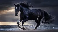 Black horse animal 4k wallpaper, running horse, ai created