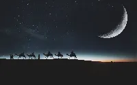 Camels in desert night view 4k desktop wallpaper big moon