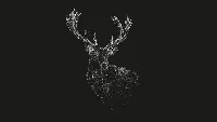 Deer sketch painting 4k desktop wallpaper dark background