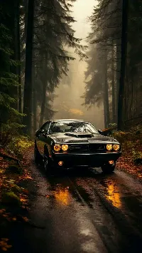 Dodge mustang car on forest road looking cool for mobile