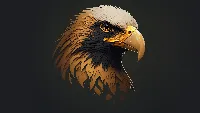 Eagle bird ai created 4k wallpaper, Eagle bird artwork 4k