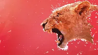 Lion art 4k desktop wallpaper red abstract background