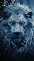 White lion full hd android wallpaper